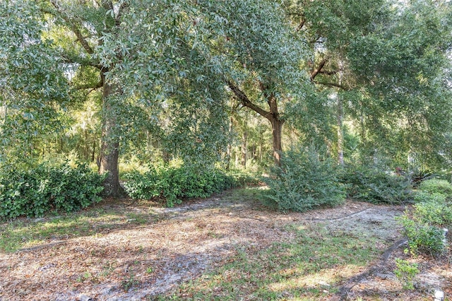 11696 SW 71st Cir, Ocala, FL 34476 - view of wooded area