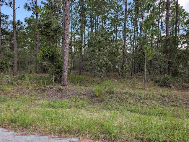 Listing photo 3 for TBD NW Foxglove Ln, Dunnellon FL 34431