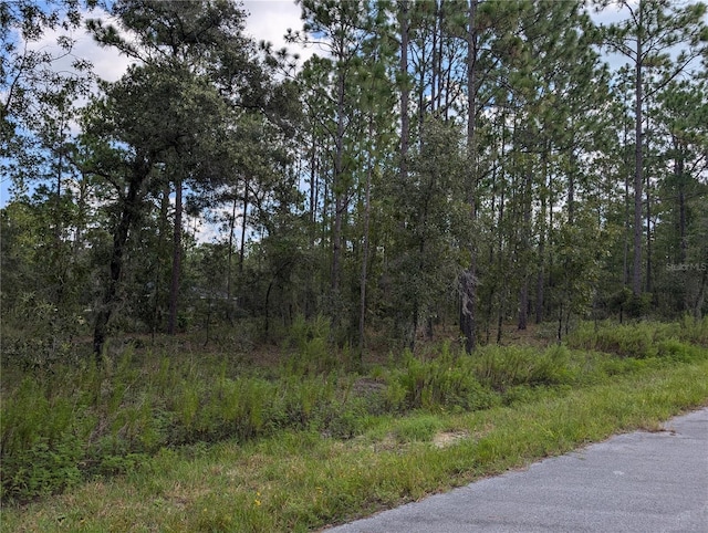 Listing photo 2 for TBD NW Foxglove Ln, Dunnellon FL 34431