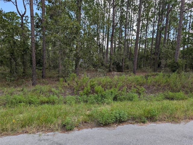 TBD NW Foxglove Ln, Dunnellon FL, 34431 land for sale