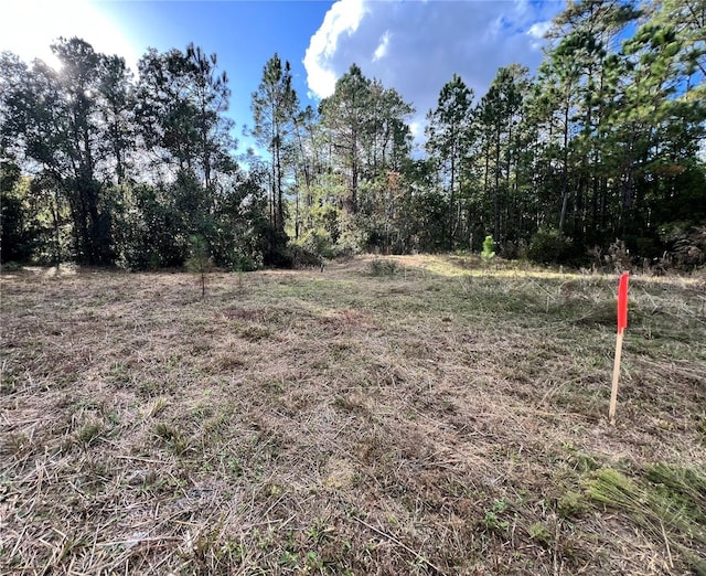 307 Mallard Rd, Satsuma FL, 32189 land for sale