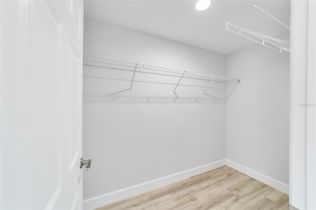 walk in closet featuring light hardwood / wood-style flooring