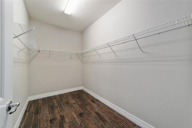 spacious closet with dark hardwood / wood-style flooring