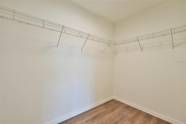 walk in closet featuring hardwood / wood-style flooring