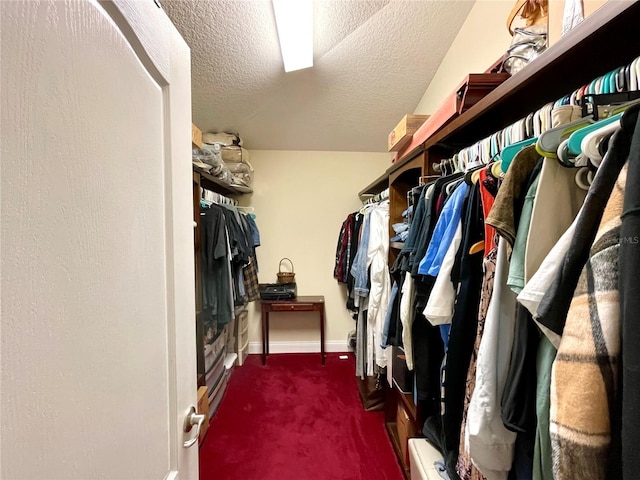 walk in closet featuring carpet floors