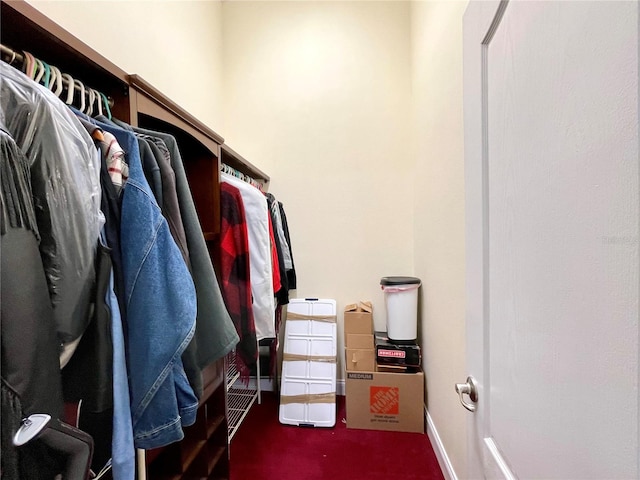 walk in closet featuring dark colored carpet