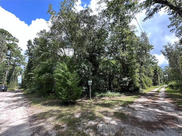 TBD NE 166th St, Fort Mc Coy FL, 32134 land for sale