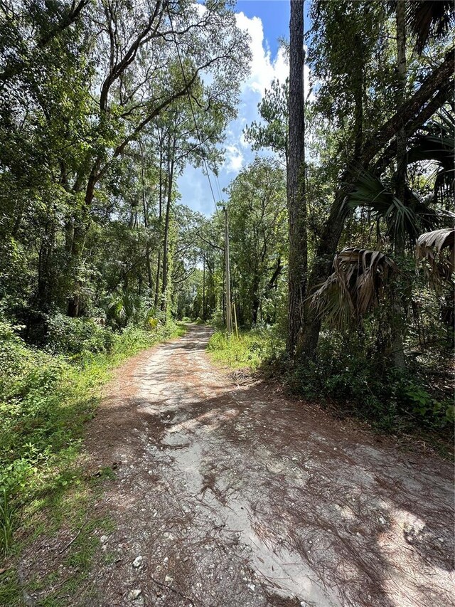 TBD NE 166th St, Fort Mc Coy, FL 32134 - photo 2