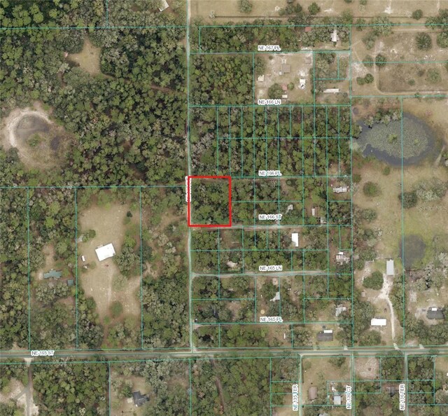 TBD NE 166th St, Fort Mc Coy, FL 32134 - photo 3