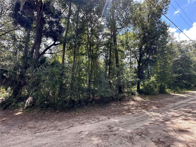 TBD NE 166th St, Fort Mc Coy, FL 32134 - photo 4