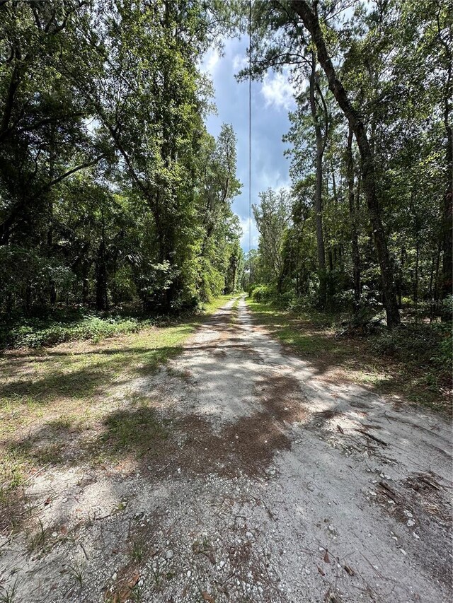 TBD NE 166th St, Fort Mc Coy, FL 32134 - photo 5