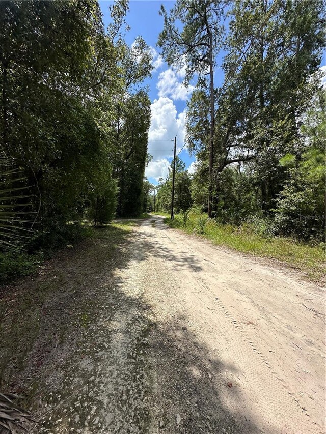 TBD NE 166th St, Fort Mc Coy, FL 32134 - photo 6