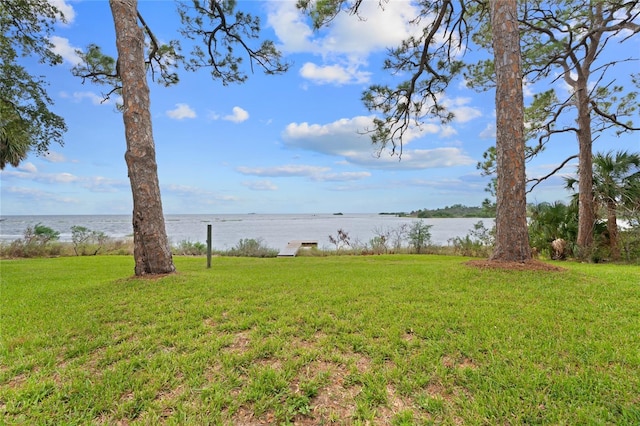 view of yard with a water view