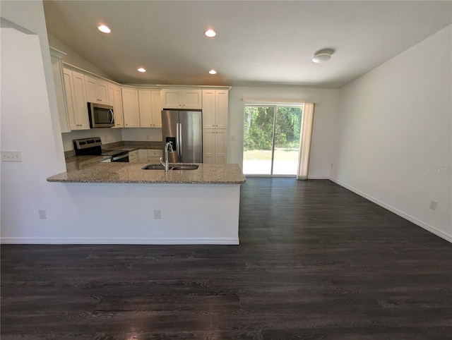 kitchen with dark wood-type flooring, light stone countertops, stainless steel appliances, and sink