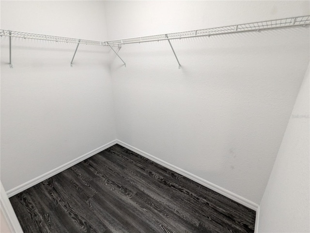 spacious closet featuring hardwood / wood-style floors