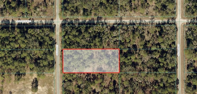 TBD SW Viola Ct, Dunnellon FL, 34431 land for sale