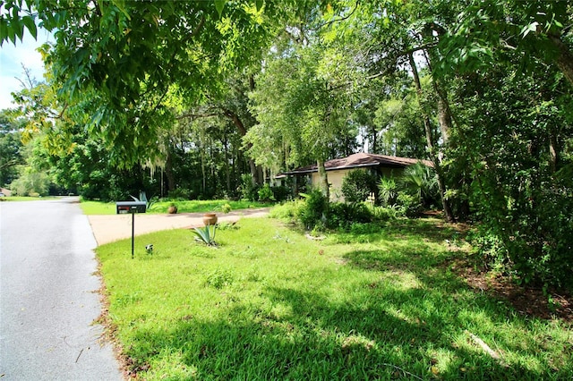 view of community featuring a lawn