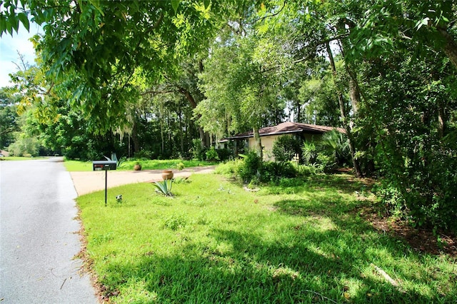 view of yard featuring driveway