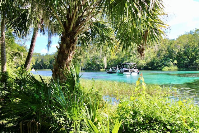 view of water feature featuring a dock