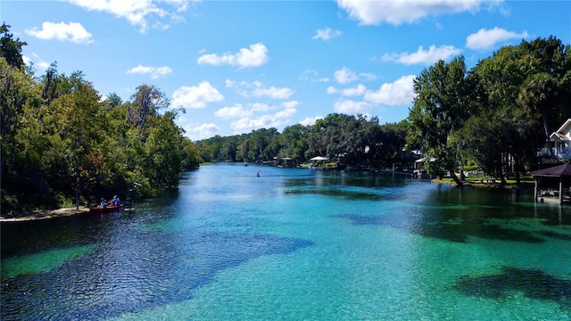 water view featuring a view of trees