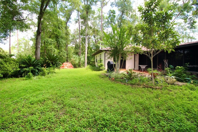 view of yard featuring a patio area