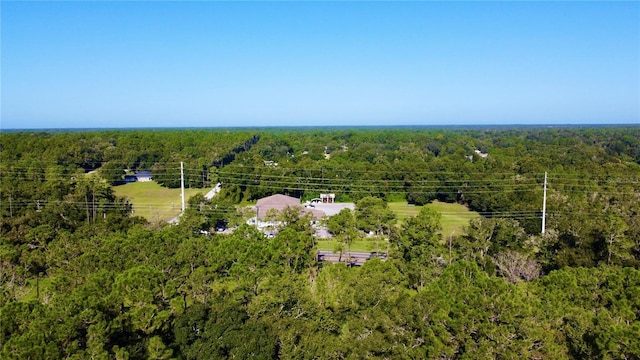 aerial view with a view of trees