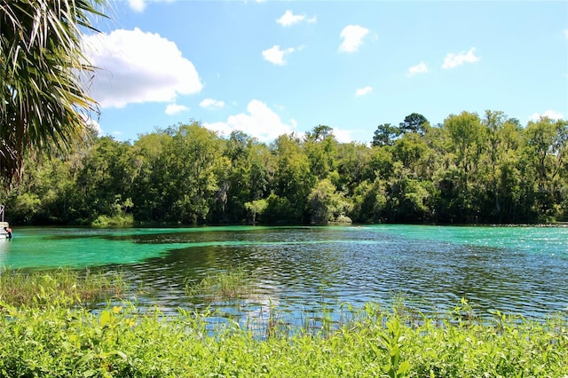 property view of water featuring a view of trees