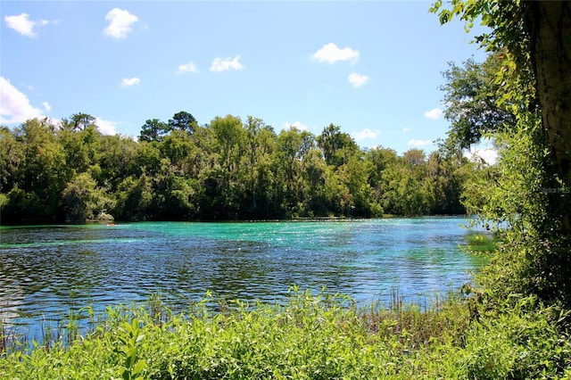 water view featuring a forest view