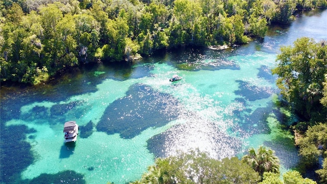 drone / aerial view with a water view and a forest view