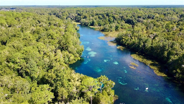 birds eye view of property featuring a water view and a wooded view