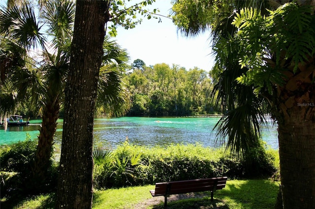 view of water feature