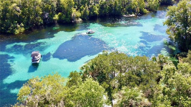 aerial view featuring a water view and a view of trees