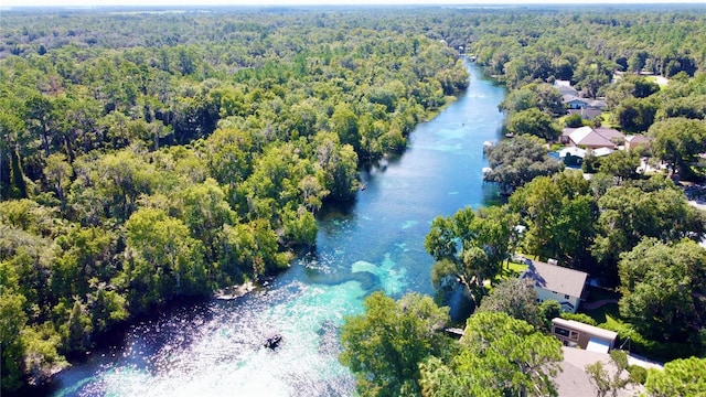 birds eye view of property with a water view and a view of trees