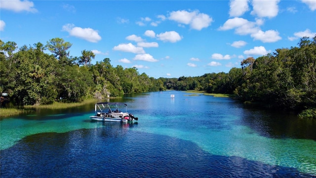 property view of water featuring a boat dock and a view of trees