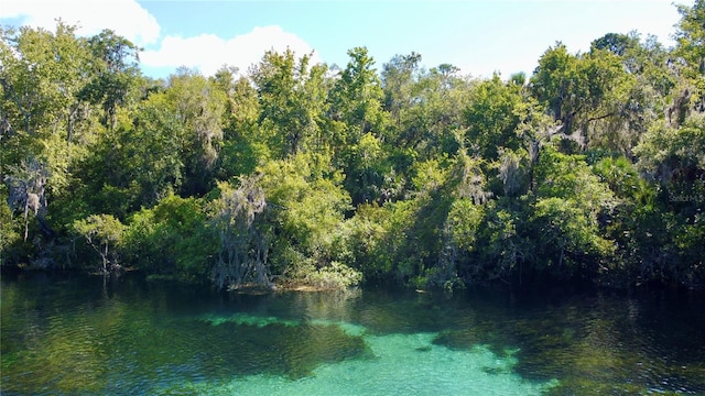 view of water feature