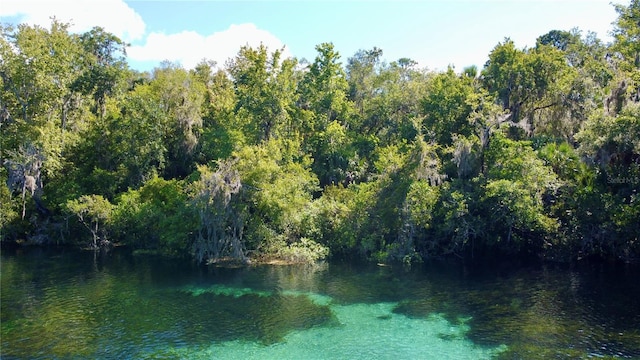 water view with a forest view