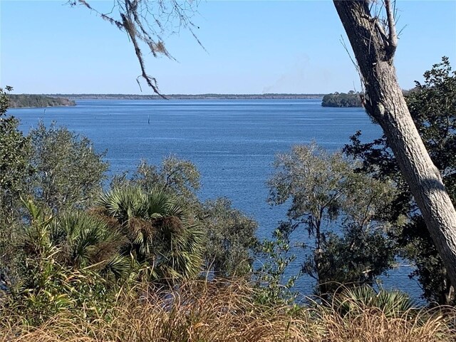 15991 NE 243rd Place Rd Unit 141, Fort Mc Coy, FL 32134 - photo 13