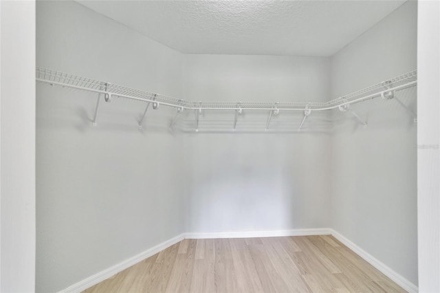 walk in closet featuring light wood-type flooring