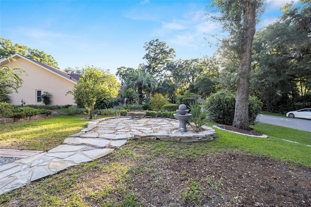 view of yard featuring a patio area