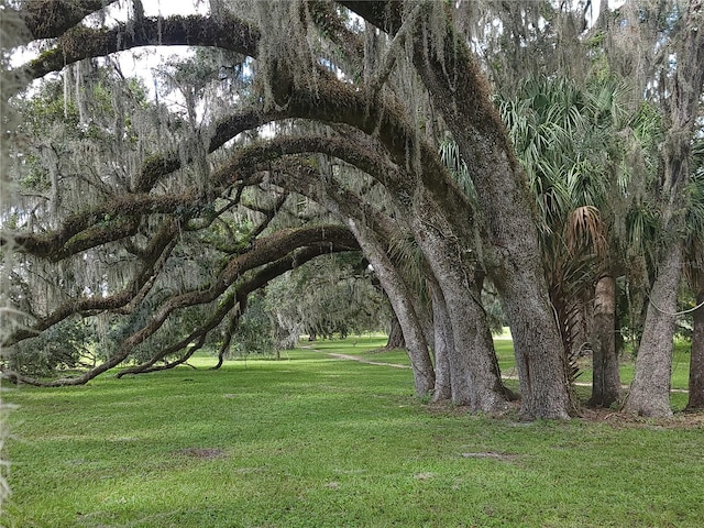 view of property's community with a yard