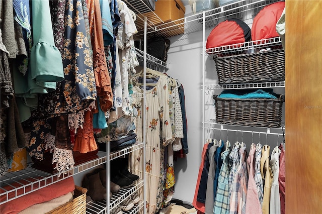 view of spacious closet