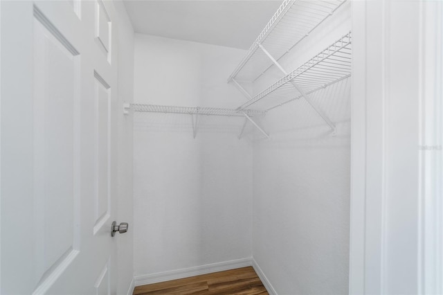 spacious closet featuring hardwood / wood-style floors