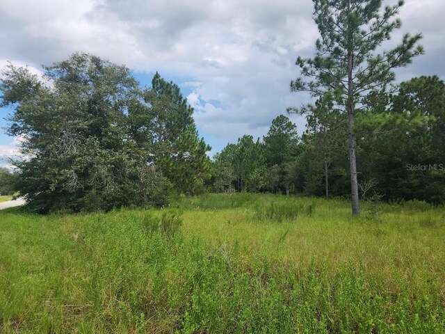 LOT18 SW Tiger Lake Blvd, Dunnellon FL, 34431 land for sale