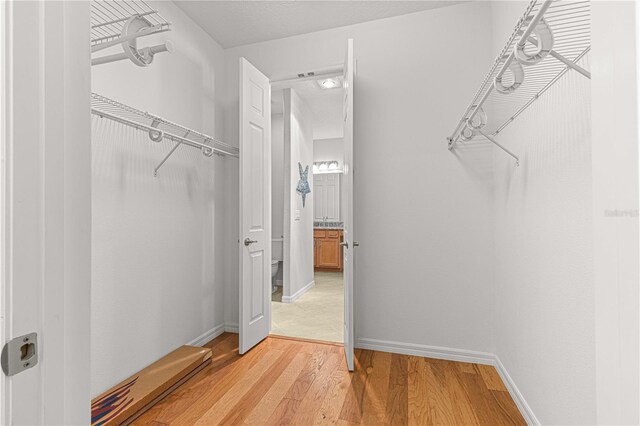 spacious closet featuring light hardwood / wood-style flooring