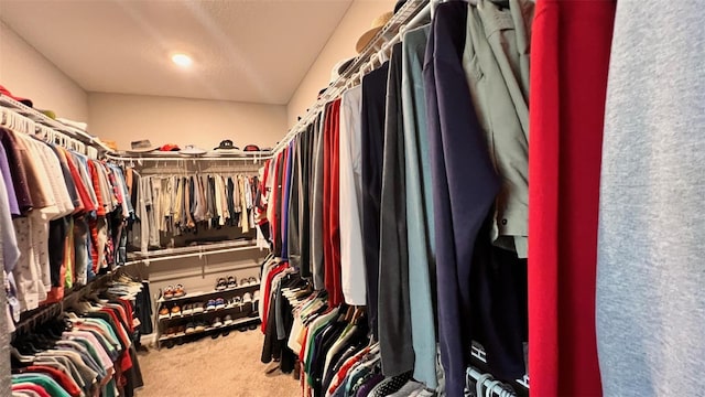 spacious closet with carpet