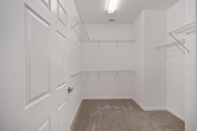 walk in closet with carpet