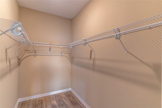 walk in closet featuring wood finished floors