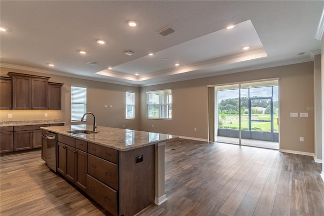 kitchen featuring dark wood-type flooring, a tray ceiling, a sink, and dishwasher