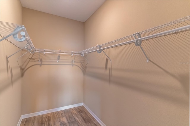 9994 SW 96th St, Ocala, FL 34481 - spacious closet featuring wood finished floors