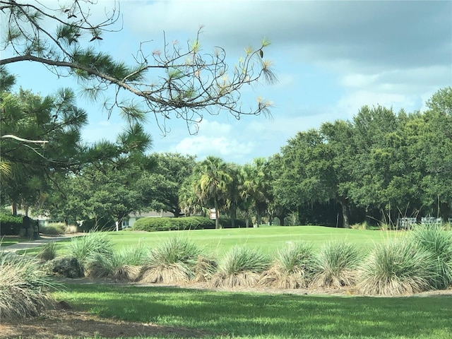 9994 SW 96th St, Ocala, FL 34481 - view of landscape